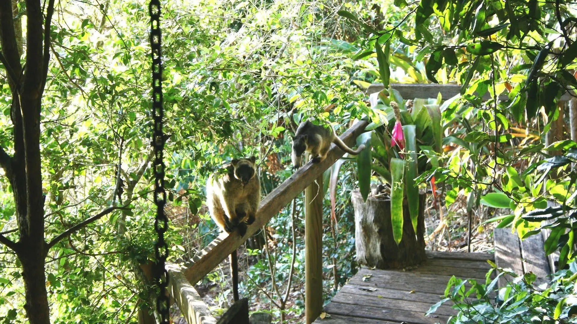 Mt Quincan Crater Retreat Yungaburra Lodge