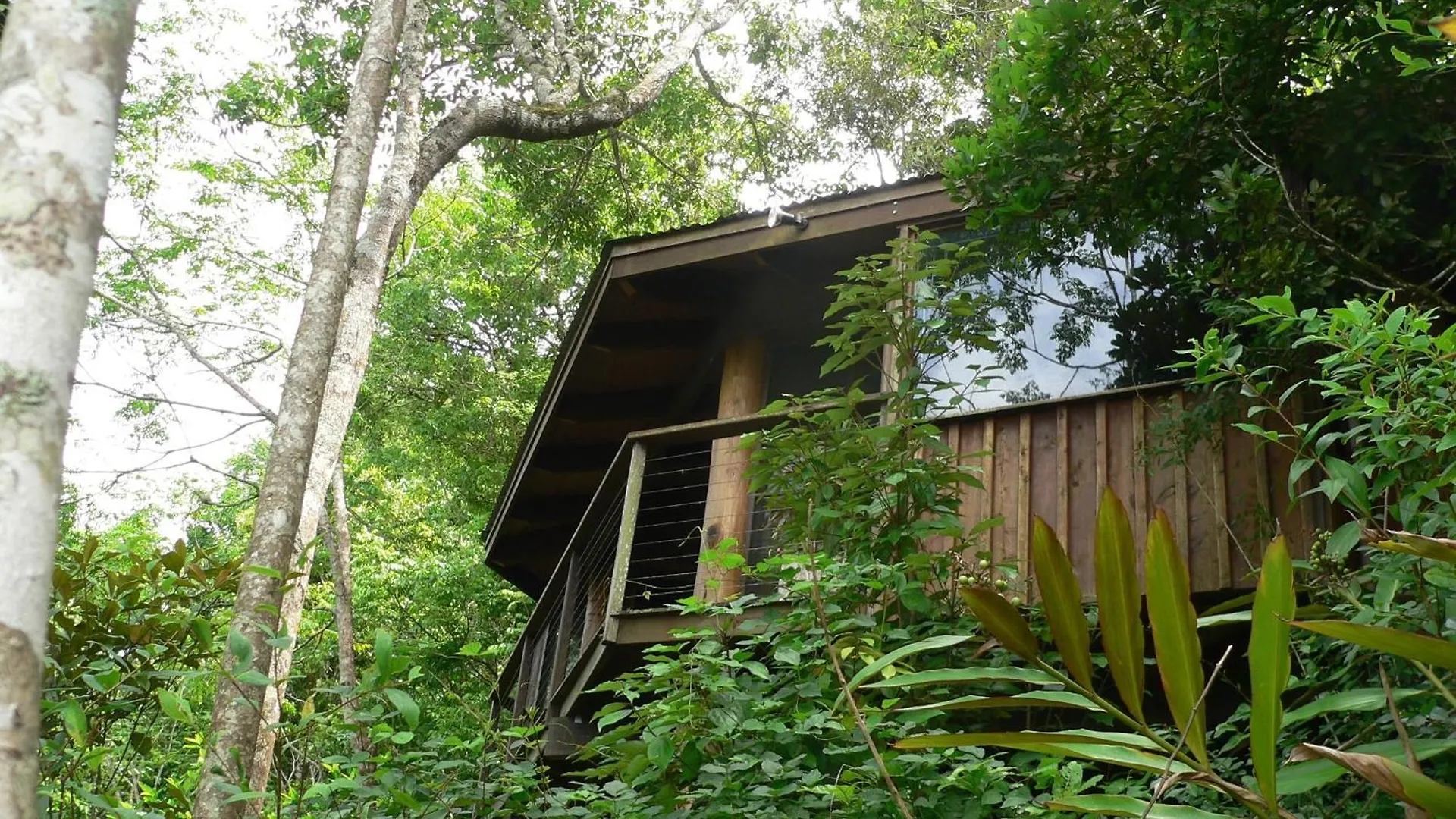 Mt Quincan Crater Retreat Yungaburra 0*,  Australia