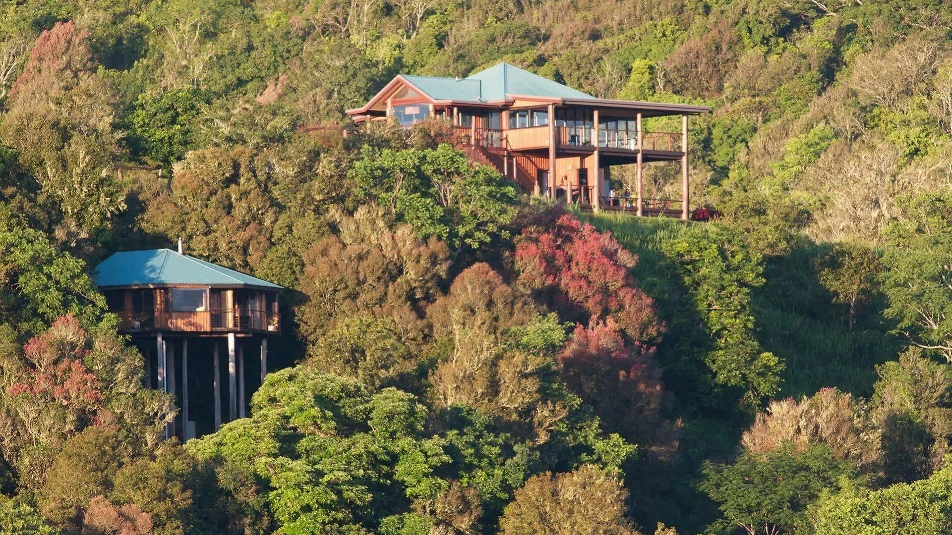 Mt Quincan Crater Retreat Yungaburra
