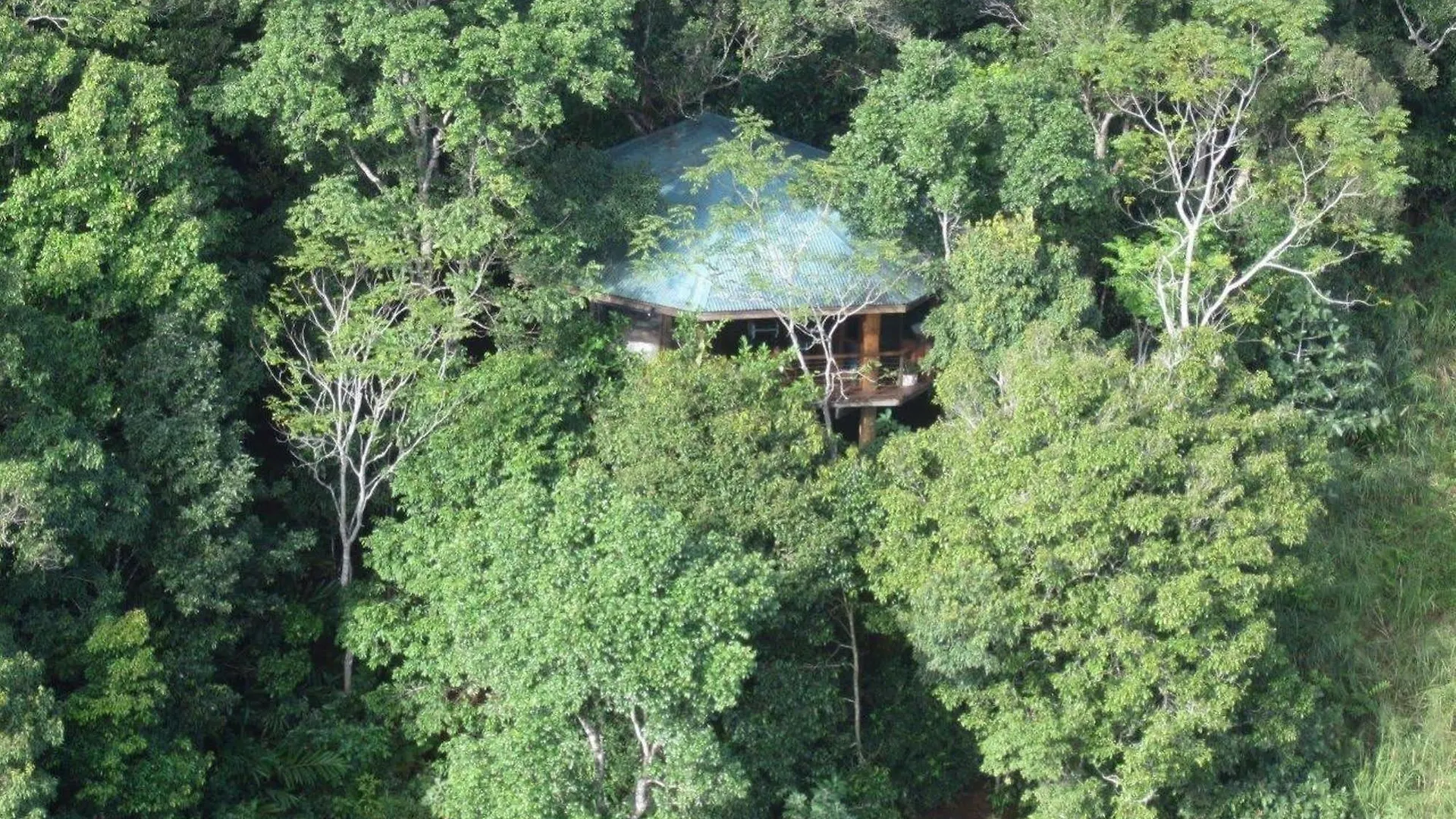 Mt Quincan Crater Retreat Yungaburra